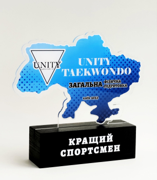 Награда Unity Taekwondo