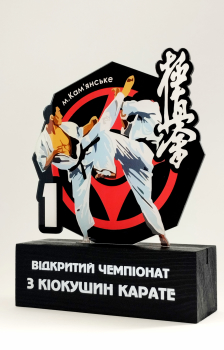 Награда Киокушин Карате
